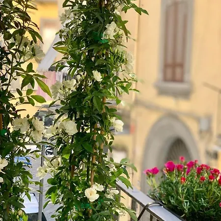 Toledo Boutique Bed & Breakfast *