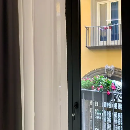Toledo Boutique * Naples