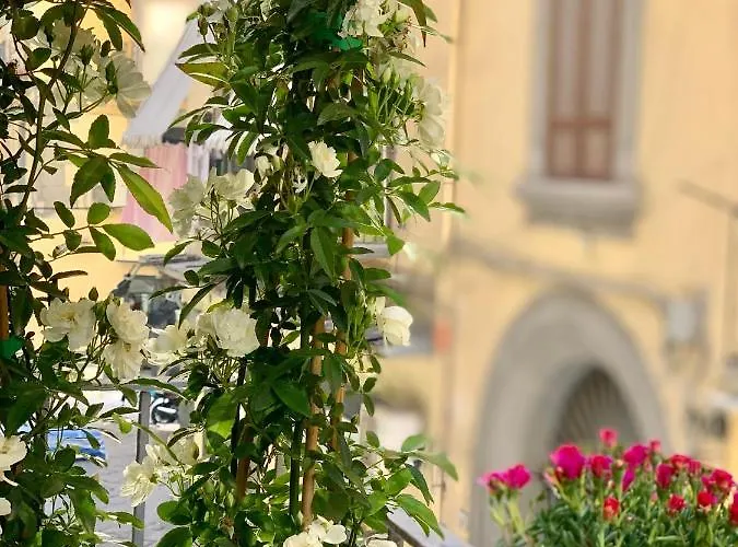 Toledo Boutique Bed & Breakfast 4*