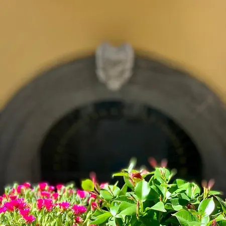 Alojamento de Acomodação e Pequeno-almoço Toledo Boutique Nápoles