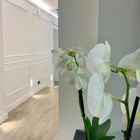 住宿加早餐酒店 Toledo Boutique 那不勒斯