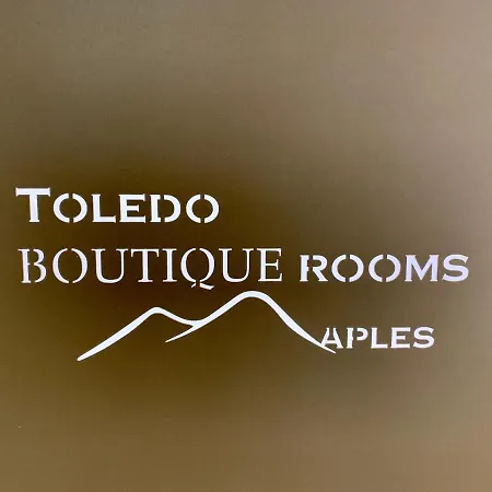 Alojamento de Acomodação e Pequeno-almoço Toledo Boutique 4*
